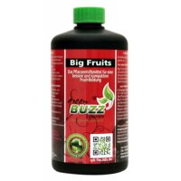 GreenBuzz Big Fruits