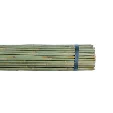 Bambusstab 120cm einzeln