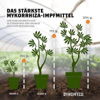 DYNOMYCO Mykorrhiza Granulat
