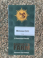 Barney`s Farm Seeds Mimosa Evo, 3 Samen feminisiert