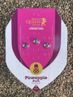 ROYAL QUEEN SEEDS Pineapple Kush, 3 Samen feminisiert