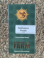 Barney`s Farm Seeds Ayahuasca Purple, 1 Samen feminisiert