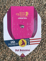 ROYAL QUEEN SEEDS Fat Banana, 1 Samen feminisiert