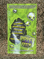 RIPPER SEEDS TOXIC, 1 Samen feminisiert