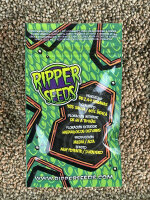 RIPPER SEEDS OMG, 1 Samen feminisiert