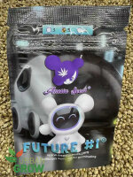 ANESIA SEEDS FUTURE#1, 5 Samen feminisiert