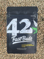 FastBuds Californian Snow Auto, 1 Samen automatic