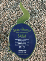 Super Strains Saga-CBD,CBD:THC,10:1, 3 Samen feminisiert