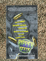 RIPPER SEEDS Criminal +, 1 Samen feminisiert