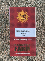 Barney`s Farm Seeds Gorilla Zkittlez Auto, 1 Samen automatic