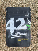 FastBuds Forbidden Runtz Auto, 1 Samen automatic