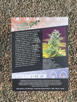 Sweet Seeds Gorilla Girl F1 Fast Version, 3+1 Samen...