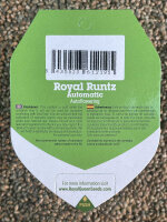 ROYAL QUEEN SEEDS Royal Medic CBD, 1 Samen feminisiert