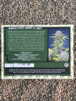 Sweet Seeds Mimosa Bruce Banner XL Auto, 5 + 2 Samen...