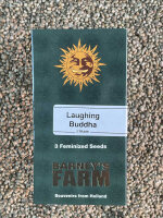 Barney`s Farm Seeds Laughing Buddha, 3 Samen feminisiert