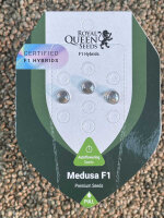 ROYAL QUEEN SEEDS Medusa F1, 3 Samen automatic