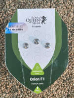 ROYAL QUEEN SEEDS Orion F1, 3 Samen automatic