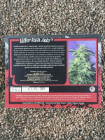 Sweet Seeds Killer Kush Auto, 5+2 Samen automatic