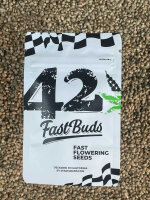 FastBuds Gorilla Cookies FF, 1 Samen feminisiert