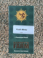 Barney`s Farm Seeds Kush Mintz, 1 Samen feminisiert