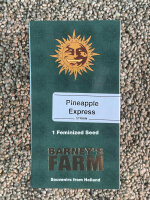 Barney`s Farm Seeds Pineapple Express, 1 Samen feminisiert