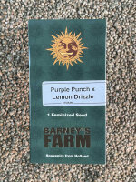 Barney`s Farm Seeds Purple Punch x Lemon Drizzle, 1 Samen...