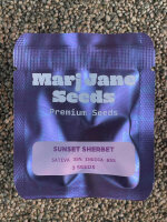 Mari Jane Seeds Sunset Sherbet, 3 Samen feminisiert